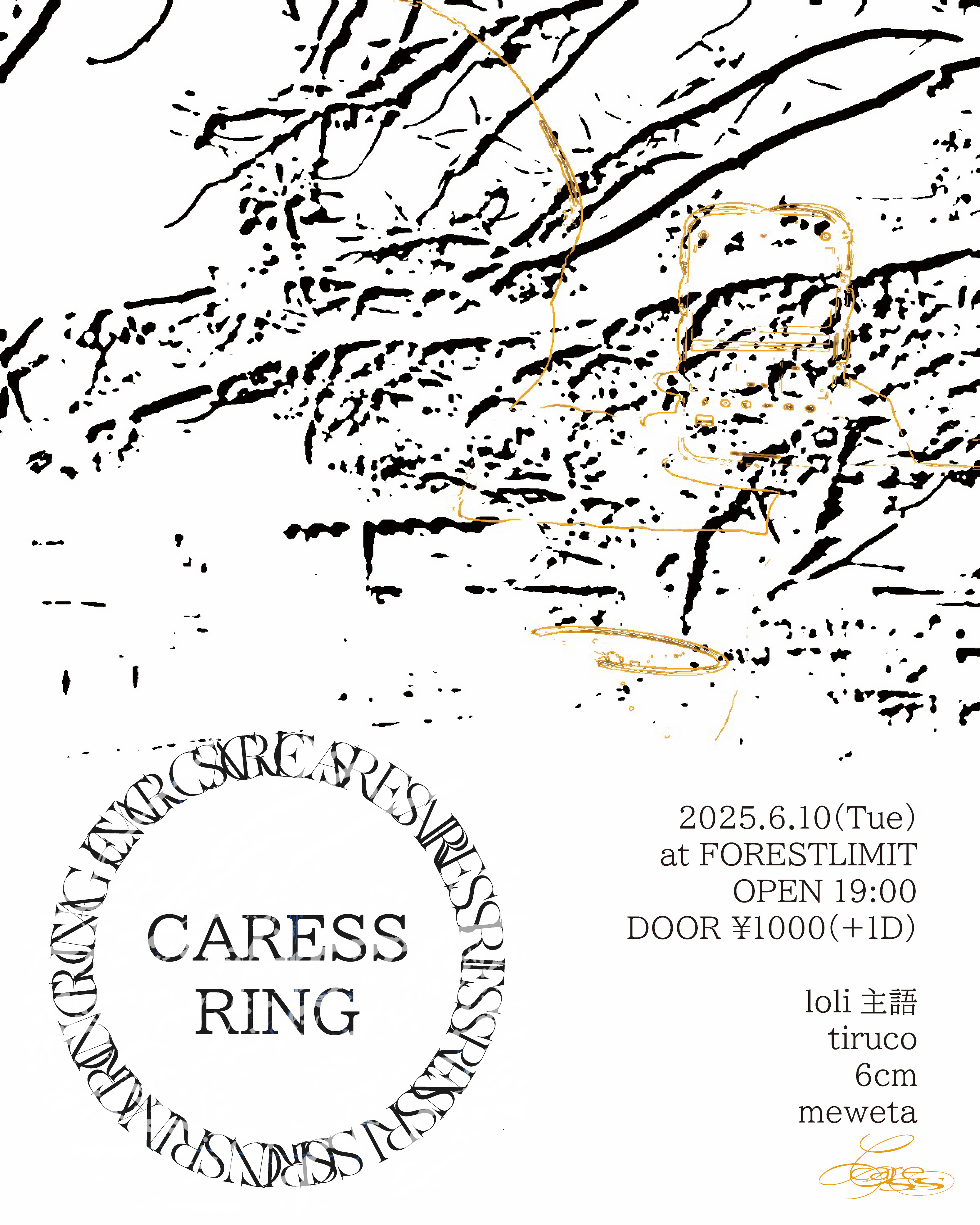 CARESS RING flyer
