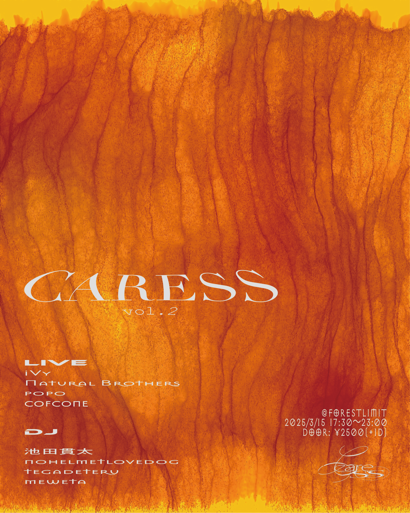 CARESS vol.2 flyer